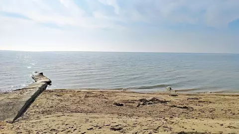 Участок в Ростовская область, Неклиновский район, с. Натальевка ул. ...