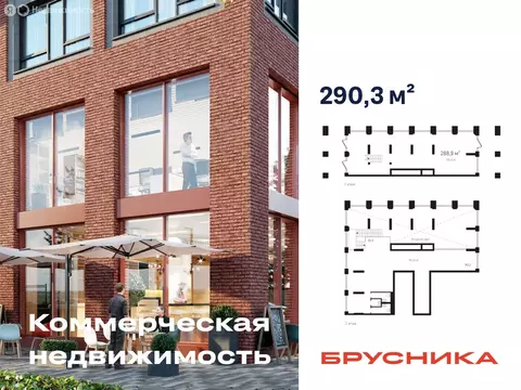 Помещение свободного назначения (290.3 м)