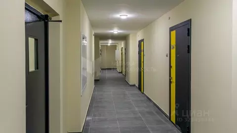 Студия Тюменская область, Тюменский муниципальный округ, д. Патрушева ...