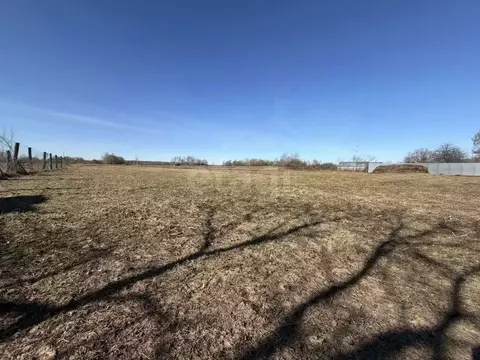 Участок в Марий Эл, Медведевский район, Азяковское с/пос, д. Шеклянур ...