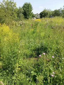 Участок в Нижегородская область, Нижний Новгород Победа СНТ, 41 (4.7 ...