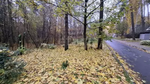 Участок в Московская область, Королев ул. Сосновый Бор (5.0 сот.)