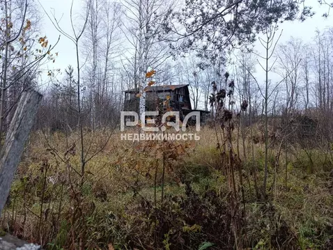 Участок в Ленинградская область, Гатчинский муниципальный округ, д. ...