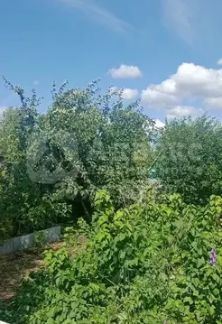 Участок в Тюменская область, Тюменский муниципальный округ, Целинное ...