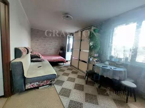 Студия Алтай, Горно-Алтайск Набережная ул., 6 (27.0 м)