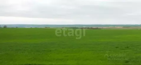 Участок в Крым, Ленинский район, Заветненское с/пос, с. Заветное ул. ...