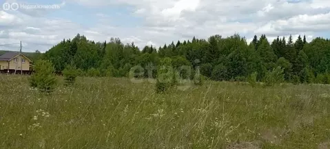 Участок в Пермский муниципальный округ, СНТ Светлогорье, Зелёная улица ...