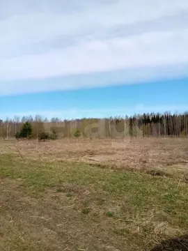 Участок в Вологодская область, Кадуйский муниципальный округ, д. ...