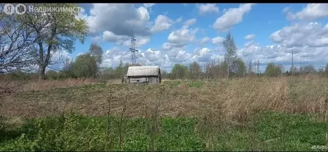Участок в Псковский район, Торошинская волость, деревня Сабижи (26.5 ...