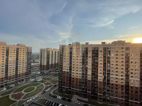 1-к кв. Санкт-Петербург проезд Дизельный, 11к2 (38.0 м)