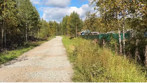 Участок в Архангельская область, Приморский муниципальный округ, Весна ...