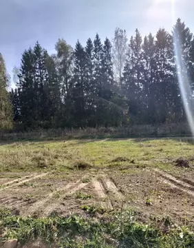 Участок в Калужская область, Боровский район, Совьяки с/пос, д. ...