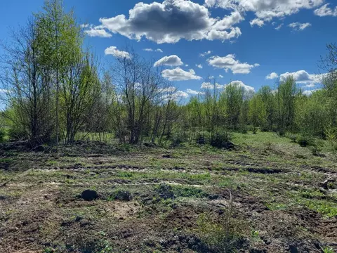 Участок в Московская область, Дмитровский муниципальный округ, пос. ...