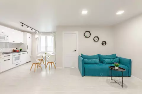 1-к кв. Самарская область, Самара Революционная ул., 101В (45.0 м)