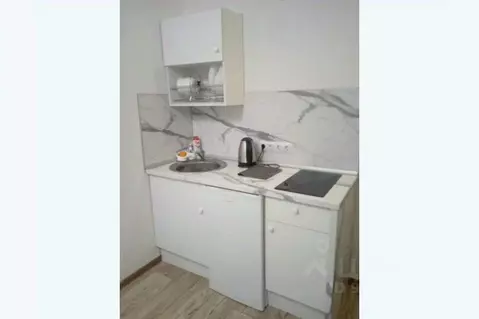 1-к кв. Свердловская область, Екатеринбург ул. Шевченко, 20 (30.0 м)