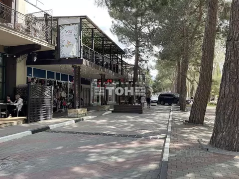 Помещение свободного назначения в Краснодарский край, Геленджик ...