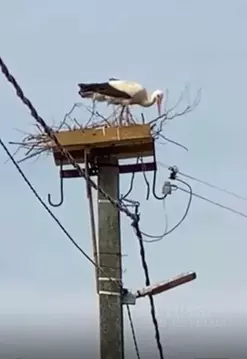 Дом в Ленинградская область, Тосненский район, Тельмановское городское ...