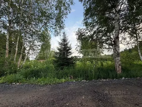 Участок в Москва Мачихино СНТ, 111 (6.04 сот.)
