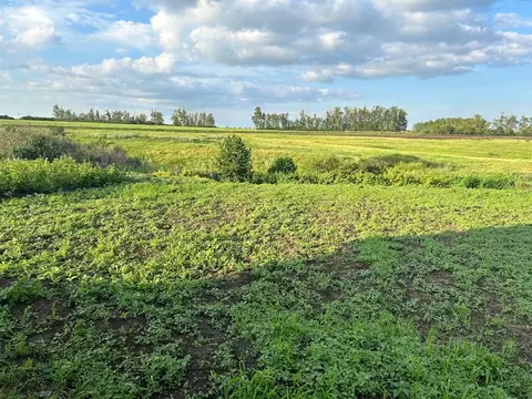 Участок в Башкортостан, Уфимский район, Русско-Юрмашский сельсовет  ...