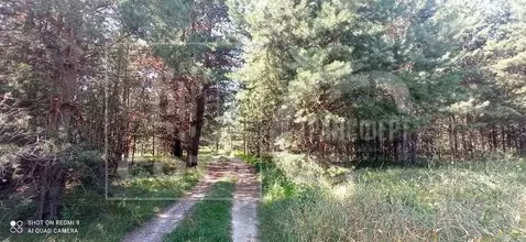 Участок в Воронежская область, Рамонский район, Ступинское с/пос, ...