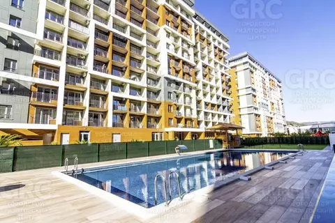 Студия Краснодарский край, Сочи городской округ, Дагомыс пгт ул. ...