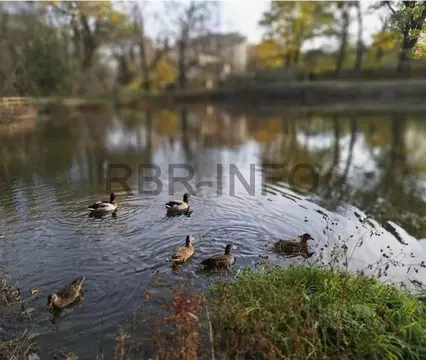 Дом в Ставропольский край, Ставрополь ул. Вавилова (216 м)