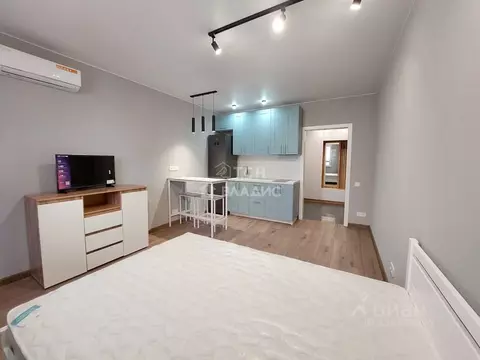 Студия Московская область, Ивантеевка Пушкинский городской округ, ...