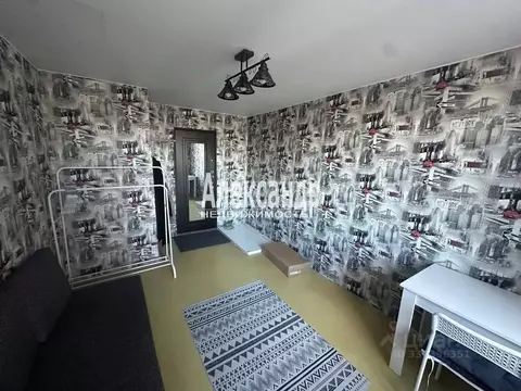 Комната Санкт-Петербург просп. Луначарского, 58К1 (11.7 м)