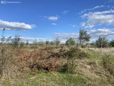 Участок в станица Заплавская, Вишнёвая улица (10 м)