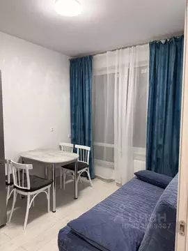 2-к кв. Санкт-Петербург Планерная ул., 99 (29.8 м)