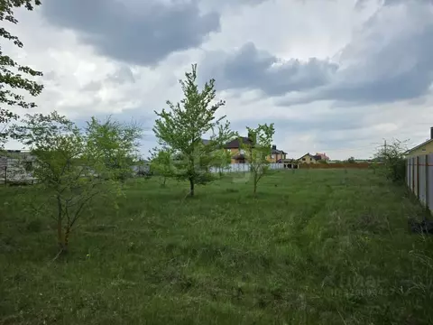 Участок в Воронежская область, Новоусманский район, Отрадненское ...