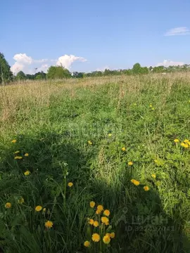Участок в Вологодская область, пос. Заря  (14.0 сот.)