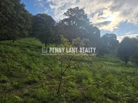 Участок в Краснодарский край, Сочи ул. Ворошиловградская (35.0 сот.)