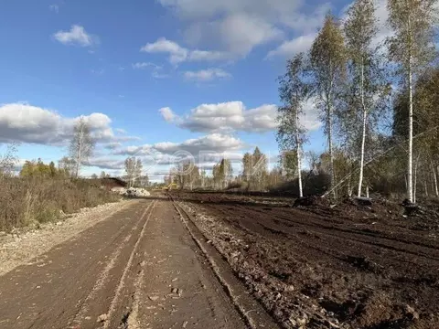 Участок в Тюменская область, Тюмень Садовое товарищество Липовый ...