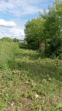 Участок в Татарстан, Нижнекамский район, Шингальчинское с/пос, с. ...