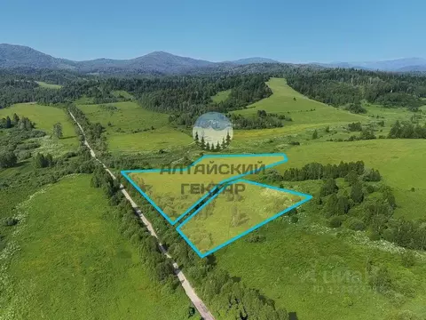 Участок в Алтай, с. Чоя  (242.0 сот.)