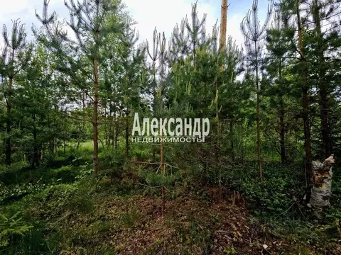 Участок в Ленинградская область, Приозерский район, Громовское с/пос, ...