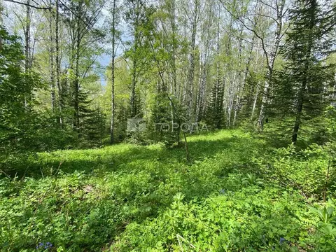 Участок в Алтайский край, Белокуриха ул. Бреславского (16.0 сот.)