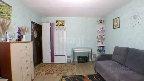 Комната Амурская область, Благовещенский район, с. Чигири 1-я ...