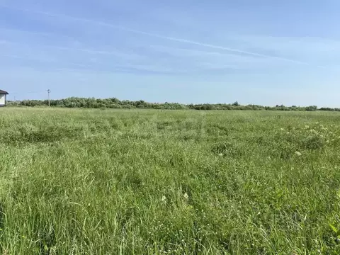 Участок в Тюменская область, Тюменский муниципальный округ, д. ...