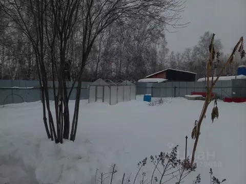 Участок в Новосибирская область, Коченевский район, д. Крохалевка ул. ...