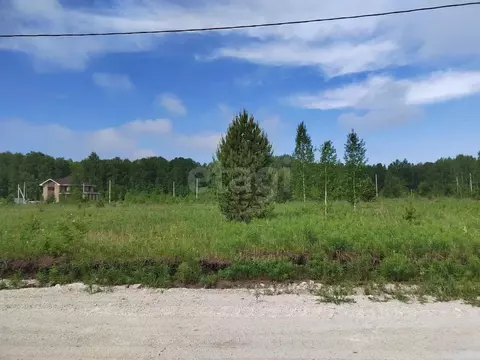 Участок в Тюменская область, Тюменский район, с. Кулига, Альпийская ...