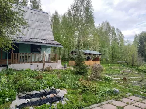 Дом в Новосибирская область, Новосибирский район, Новолуговской ...