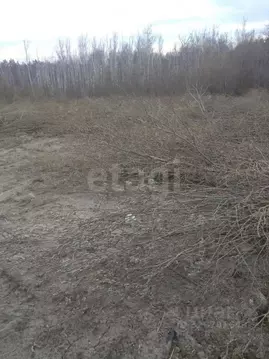 Участок в Тюменская область, Тюменский муниципальный округ, Искра-1 ...