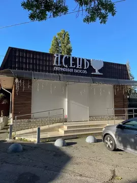 Торговая площадь в Краснодарский край, Сочи Курортный просп., 99Ж (154 ...