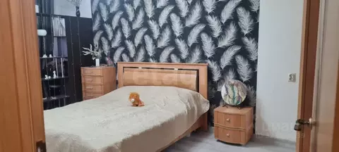 3-к кв. Липецкая область, Липецк ул. Космонавтов, 29 (61.3 м)