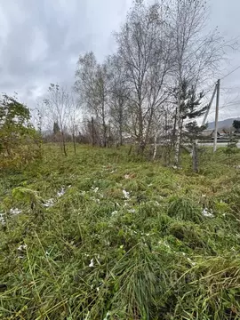 Участок в Алтай, Майминский район, с. Соузга Трактовая ул., 86 (15.0 ...