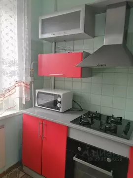 2-к кв. Курганская область, Курган ул. Красина, 61 (43.0 м)