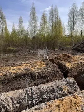 Участок в Ленинградская область, Всеволожский район, Щегловское с/пос, ...