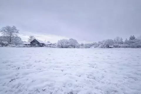 Участок в Смоленская область, Руднянский муниципальный округ, д. ...